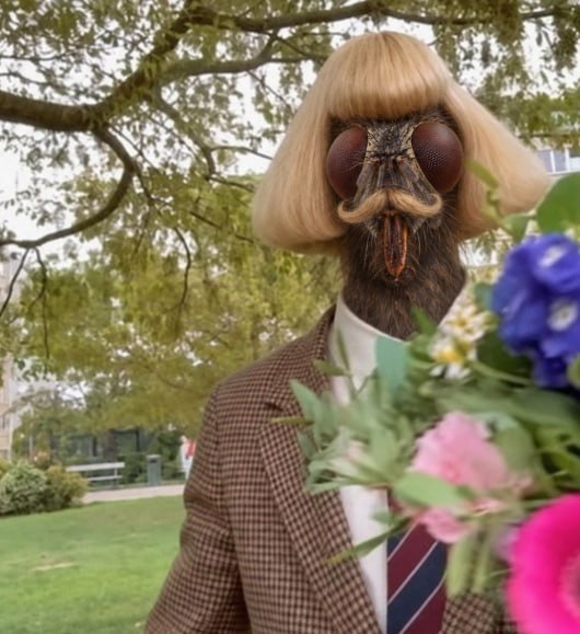 Flyphil carrying a bouquet in the garden